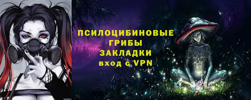 где можно купить   гидра рабочий сайт  Галлюциногенные грибы мухоморы  Каргополь 